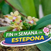 Fin de semana en Estepona