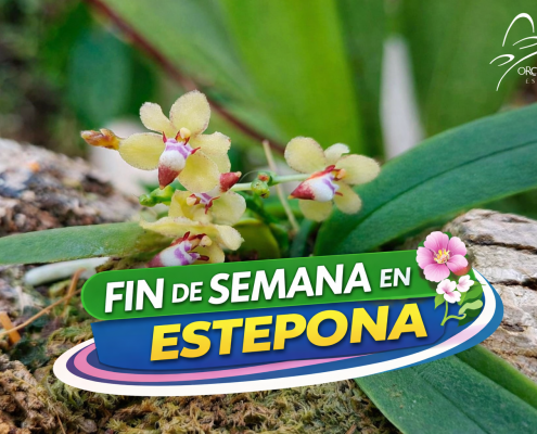 Fin de semana en Estepona
