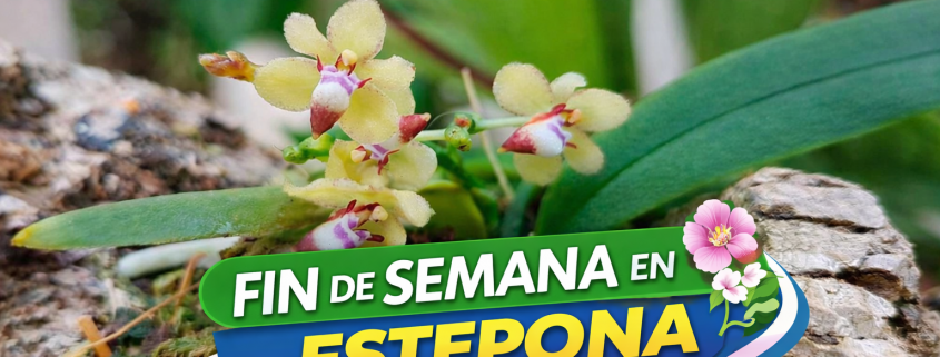 Fin de semana en Estepona